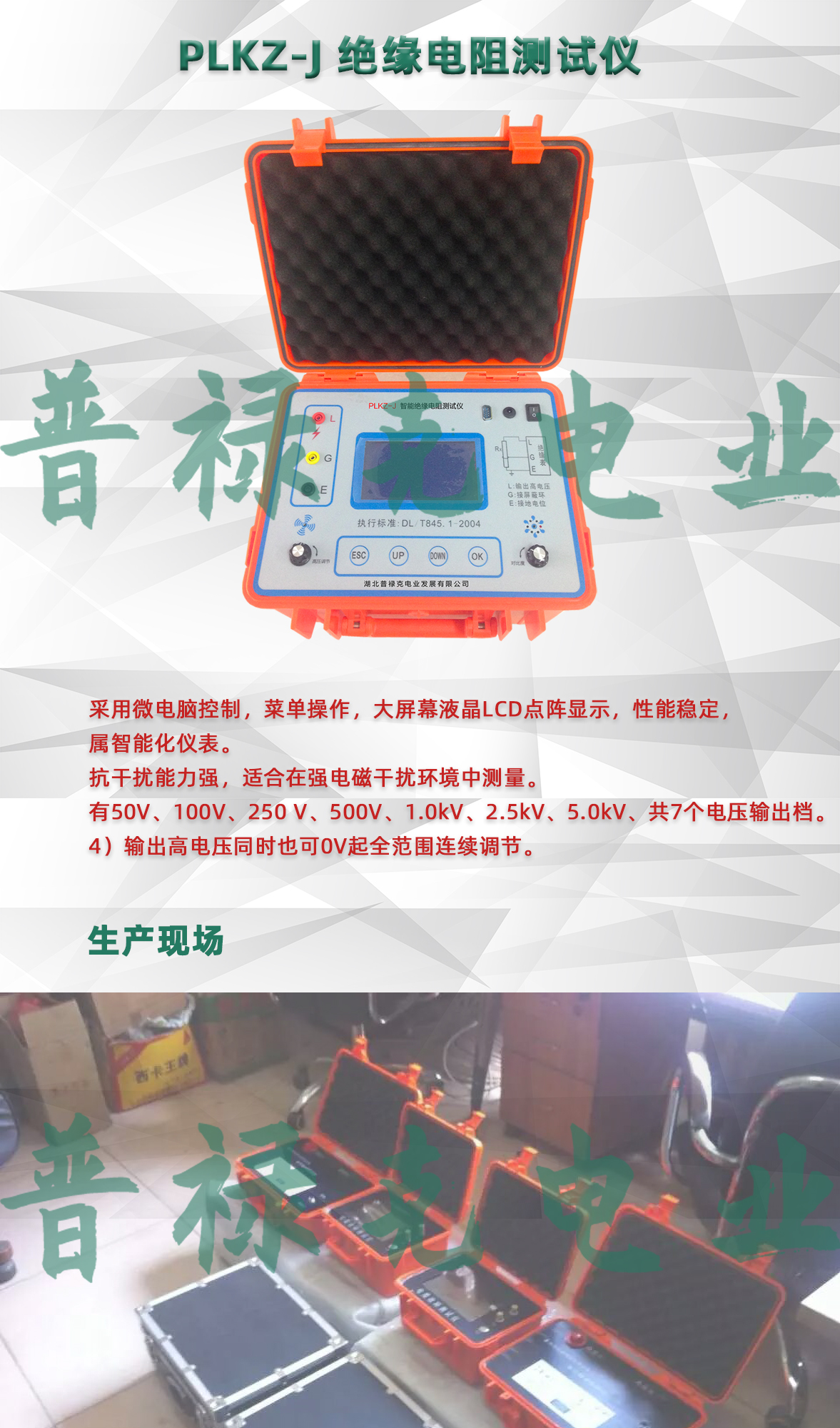 绝缘电阻测试仪