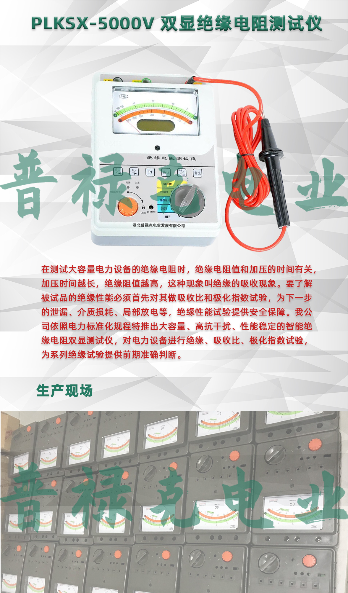  双显绝缘电阻测试仪